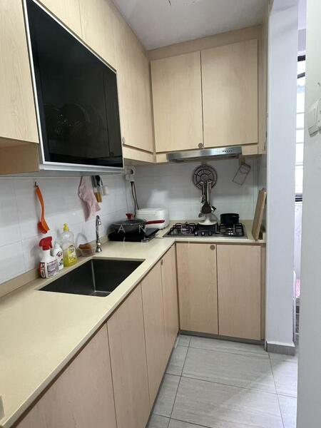 East Coast / Marine Parade • 221 Joo Chiat Place Three-Bedroom Apartment
